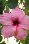  name image #4308