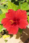  name image #4309