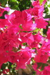  name image #4310