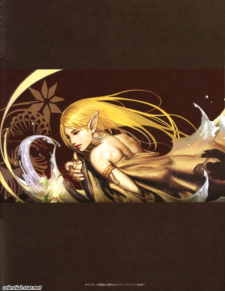 Lineage II The chaotic chronicle fan book image by NCsoft Corporation